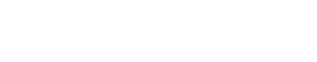 Brand Fellow
